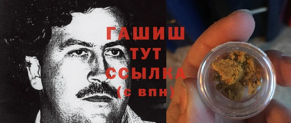стафф Касимов