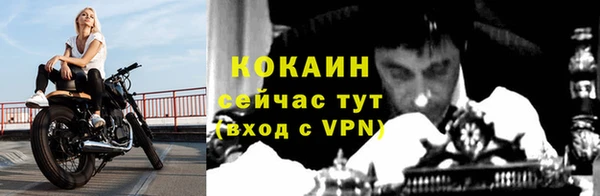 дживик Карталы