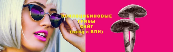 стафф Касимов