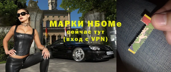 стафф Касимов