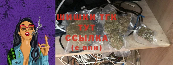 стафф Касимов