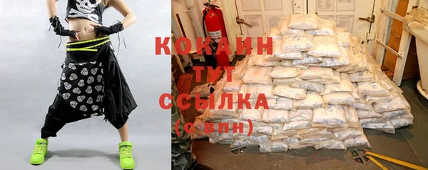 стафф Касимов