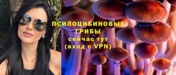 стафф Касимов