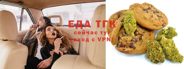 стафф Касимов